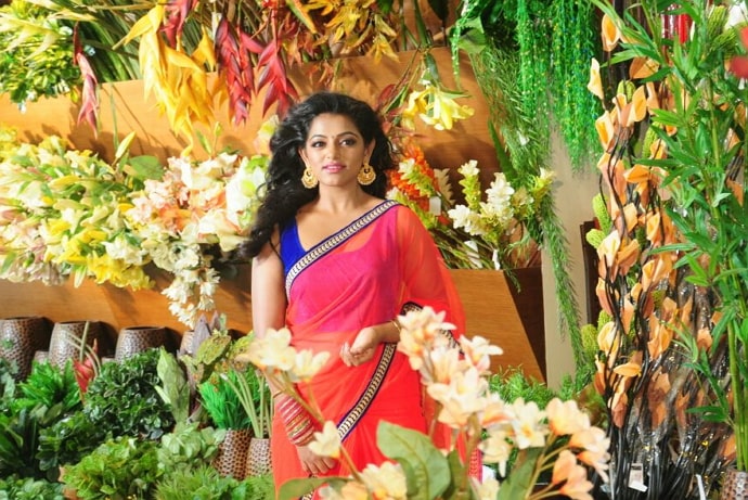 meera anil