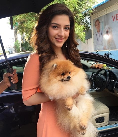 mehreen pirzada