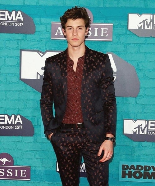 shawn mendes