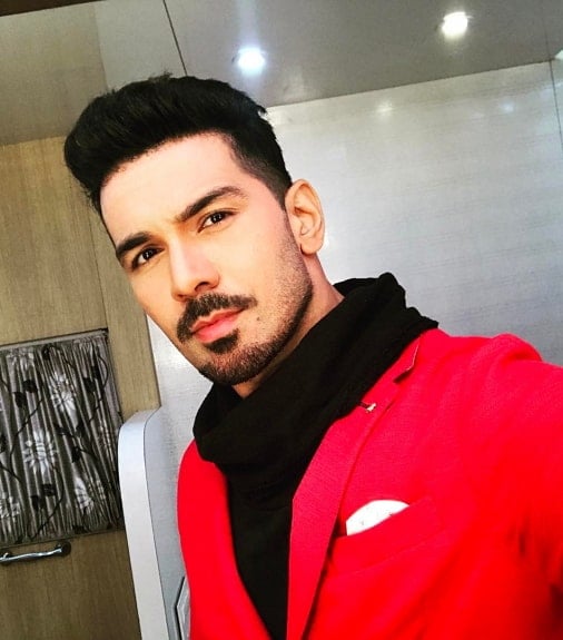 Abhinav Shukla Wiki Age Net Worth Family Biography More Thewikifeed Her husband came from greece. abhinav shukla wiki age net worth