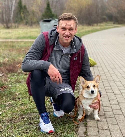 alexei navalny