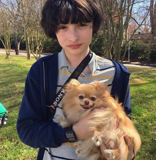 finn wolfhard