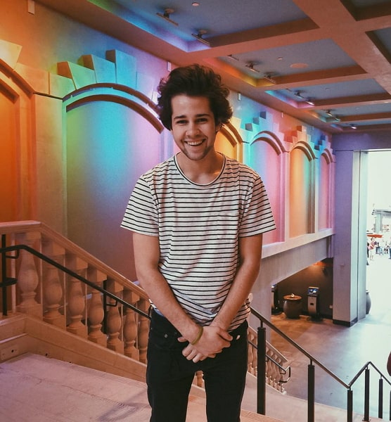 david dobrik