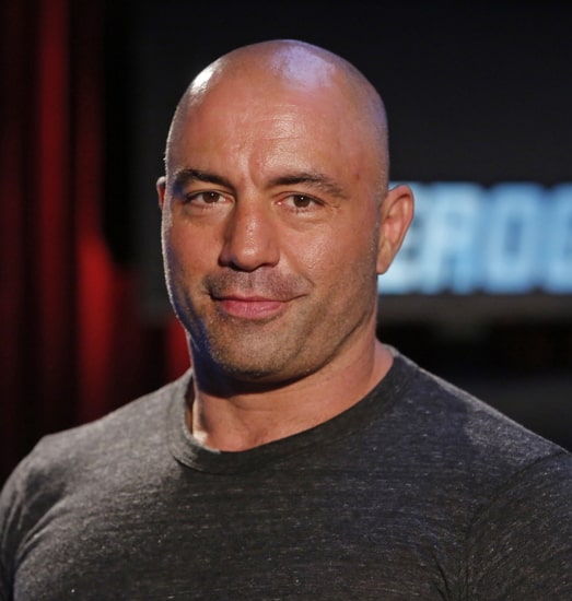 joe rogan