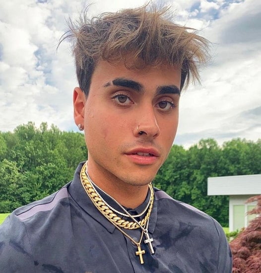 Darius Dobre Age, Net Worth, Girlfriend, Family, Brothers and Biography ...