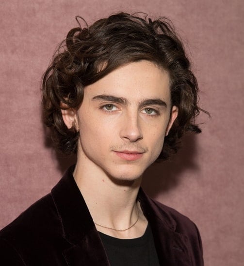 timothee chalamet