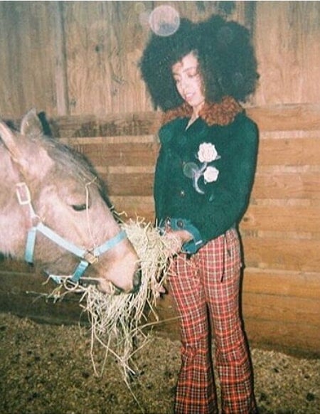 hayley law childhood pic