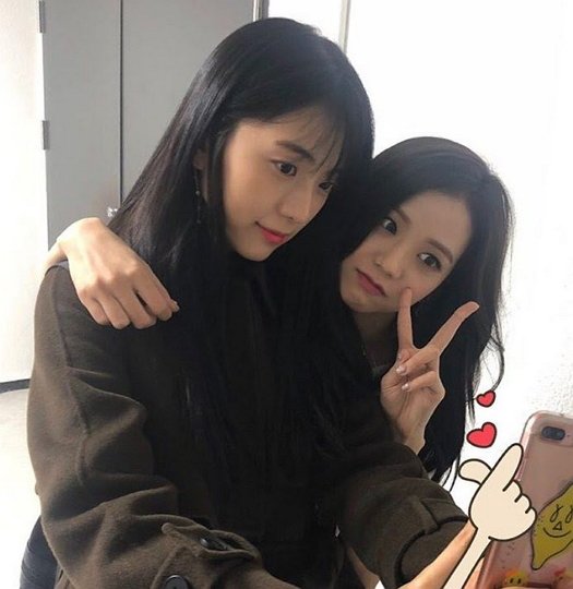 jisoo kim sister