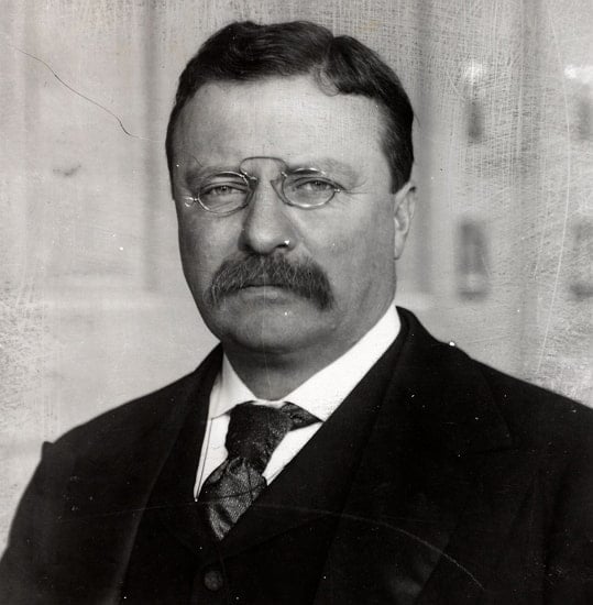 theodore roosevelt