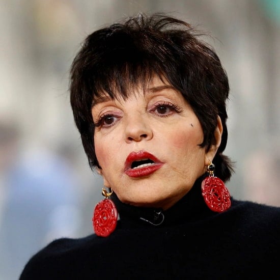 List 91+ Images how old is liza minnelli and what is she worth Stunning