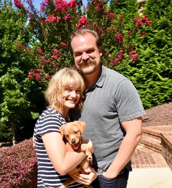 alison sudol boyfriend (david harbour)