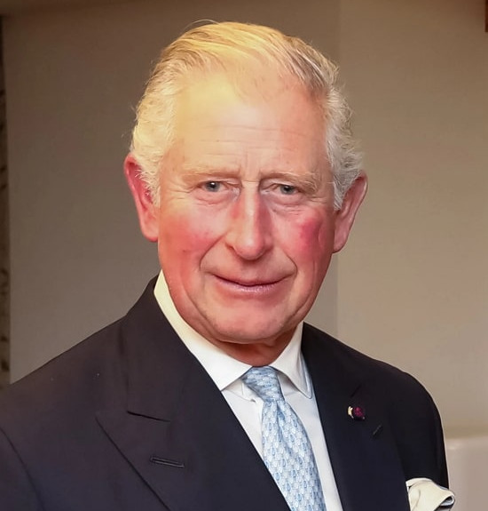 charles, prince of wales