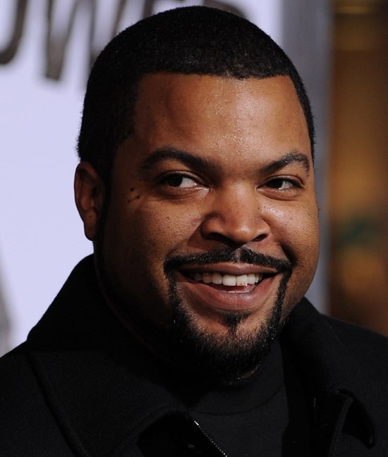 ice cube