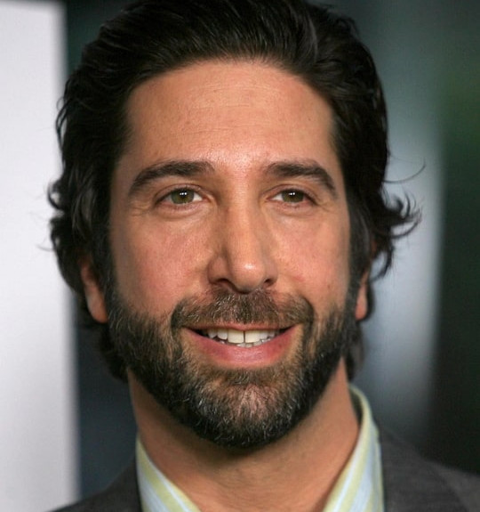 david schwimmer