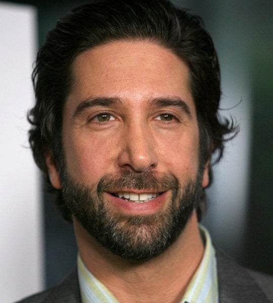 david schwimmer