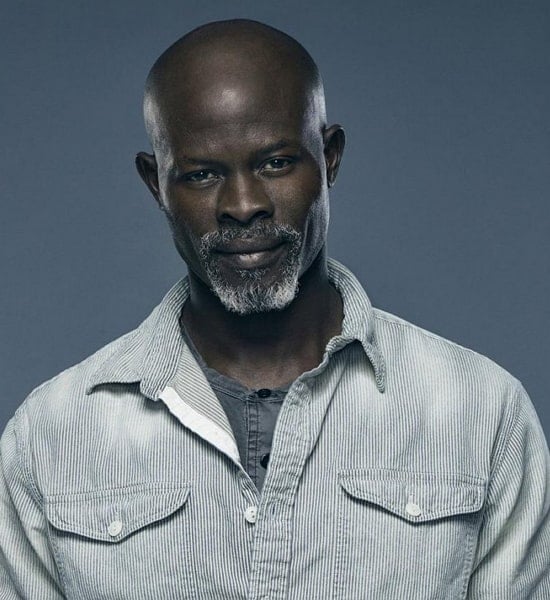 djimon hounsou