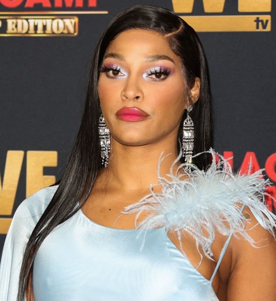 Joseline Hernandez Age, Net Worth, Boyfriend, Family, Daughter and