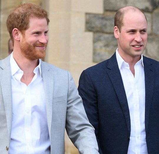 prince harry brother