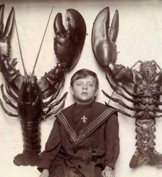 jordan peterson childhood pic