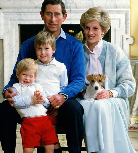 prince harry family