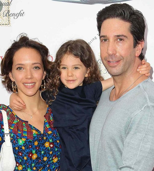 david schwimmer family