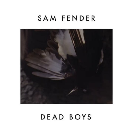 sam fender