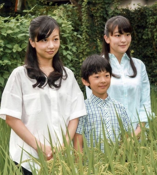 mako komuro siblings